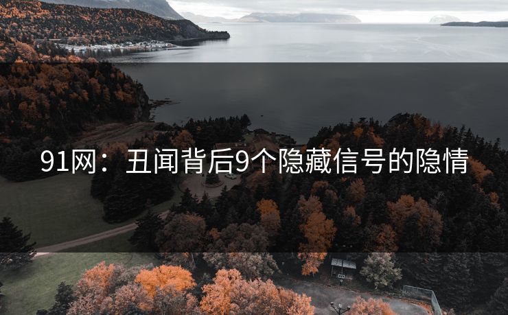 91网：丑闻背后9个隐藏信号的隐情