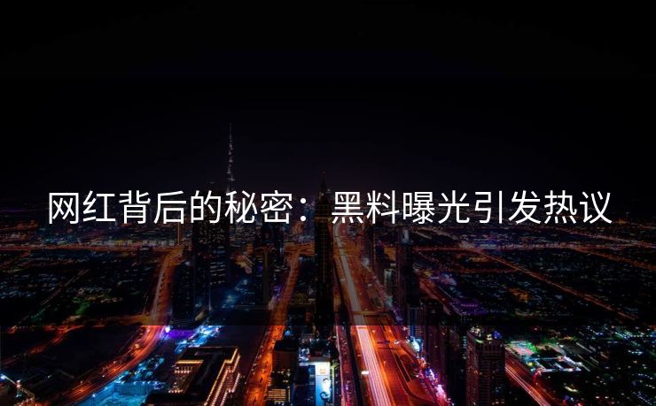 网红背后的秘密：黑料曝光引发热议  第1张