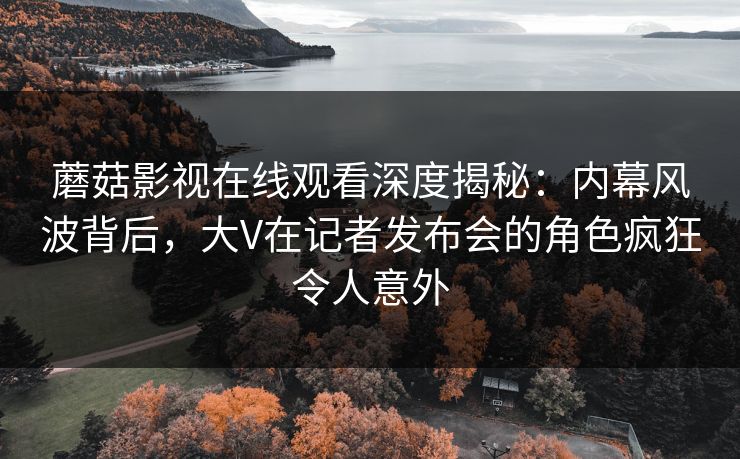 蘑菇影视在线观看深度揭秘：内幕风波背后，大V在记者发布会的角色疯狂令人意外